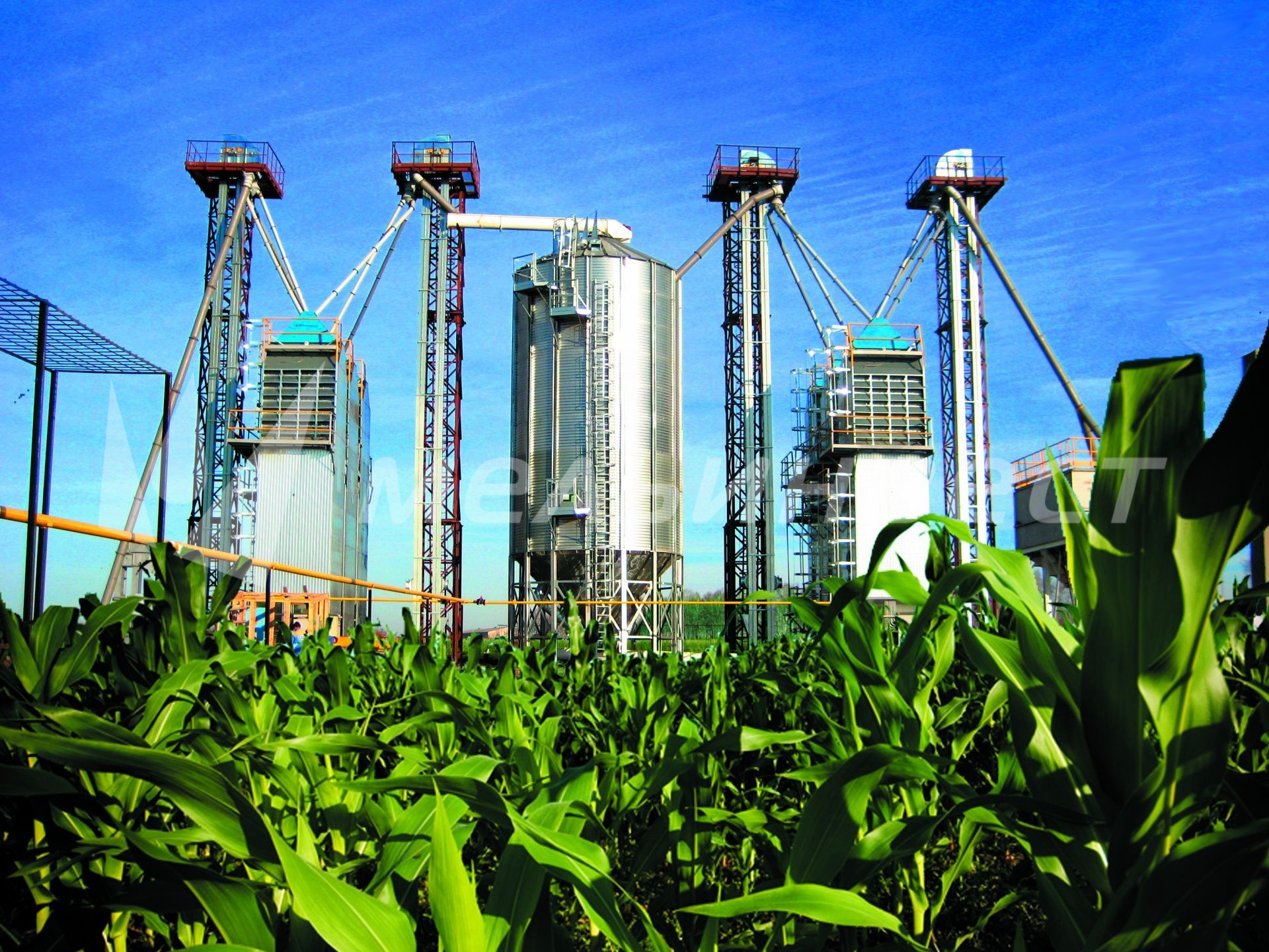 Ульяновская область — Зерносушильный комплекс производительностью по кукурузе 30 т/ч при снятии влажности с 44 до 14%